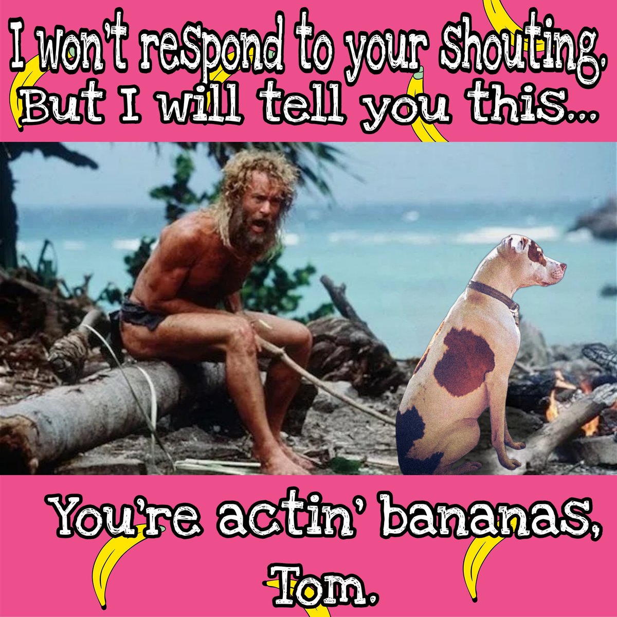 B-A-N-A-N-A-S!! 🍌🏝🐾 
.
.
.
.
.
#castaway #pitbull #prettypitty <a href="/tomhanks/">Tom Hanks</a>