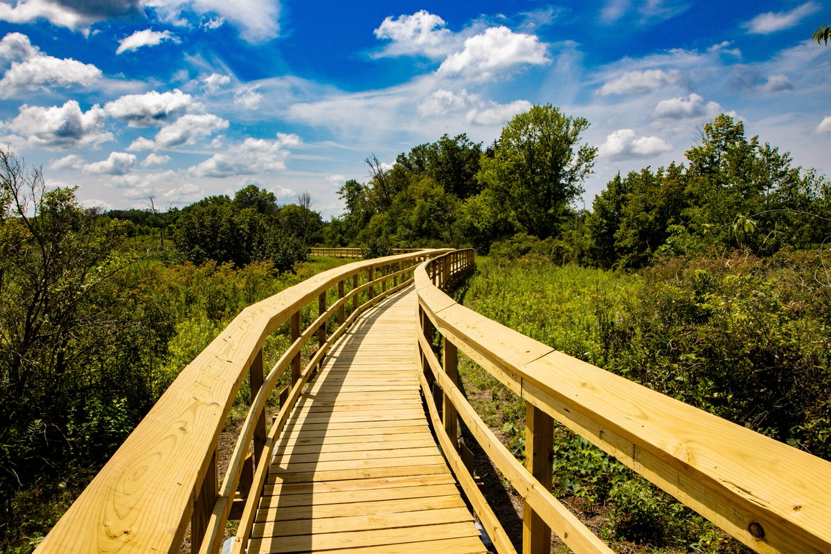 This summer, the Storrs Lake segment of the Ice Age Trail has introduced a brand-new, 860-foot boardwalk with three platforms for wildlife viewing and easier hiking access on this part of the trail. 

📸 Kim Hoholek Photography