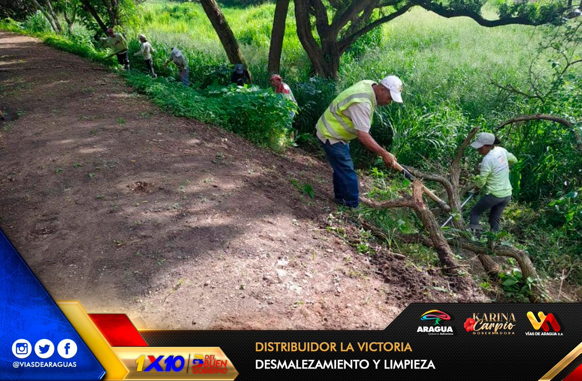 🚧📷Gdora. <a href="/Soykarinacarpio/">Karina Carpio</a> con trabajo y compromiso con el 1×10 del Buen Gobierno fortaleciendo el desempeño de la función pública.🛤️
🚩Distribuidor de la Victoria
✅Desmalezamiento
✅Limpieza de canal y despeje de hombrillo
#AraguaReverdece
#GoogleCensuraAlPueblo
<a href="/NicolasMaduro/">Nicolás Maduro</a>
