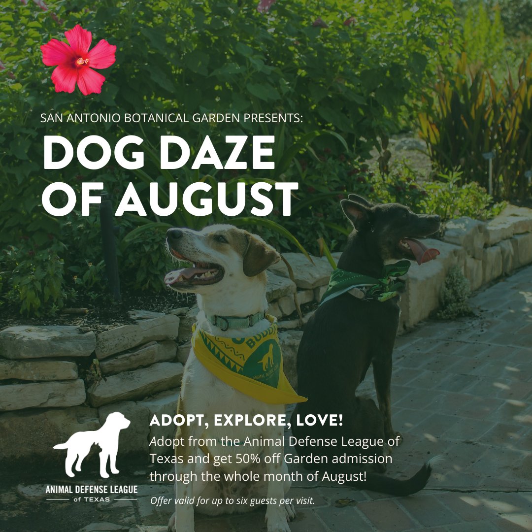 San Antonio Botanical Garden tweet media