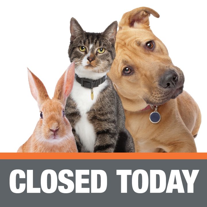 The Leslie A. Malone Center and Buddy Center are closed today, 8/2, for professional development and training. Regular hours will resume tomorrow. Thank you for your understanding! #DumbFriendsLeague #CompassionAlways #AnimalWelfare #AnimalShelter #AdoptAShelterPet #Adopt
