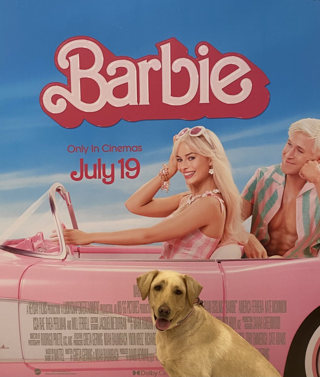 BellaExplora's tweet image. I’m a Bellie girl