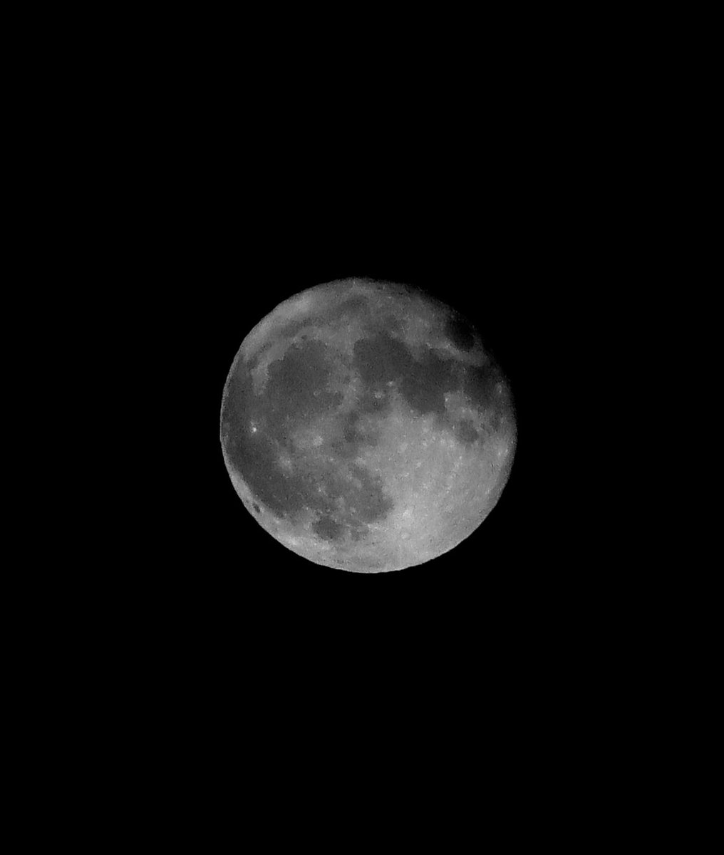 kyochan0803's tweet photo. Good Night…ᵕ̈*

#満月
#Fullmoon
#スタージョンムーン
#天体観測
#一眼レフ 
#canoneoskissm https://t.co/d7BnfoN25s