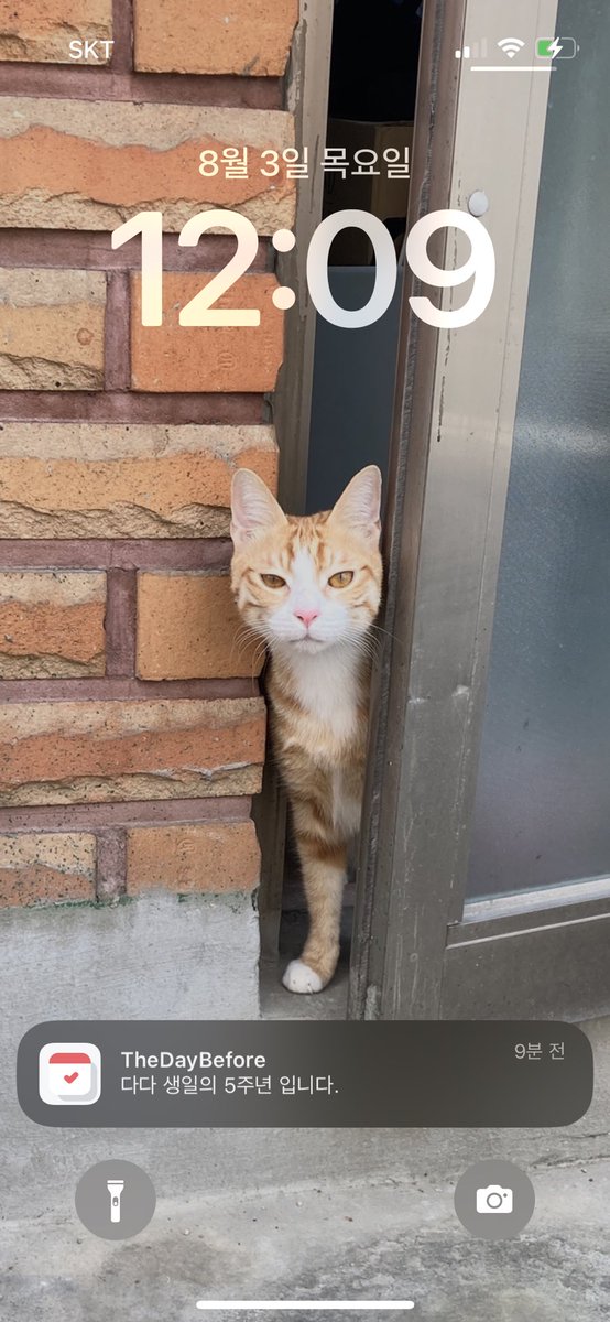 우리 다다 생일 축하해🎉