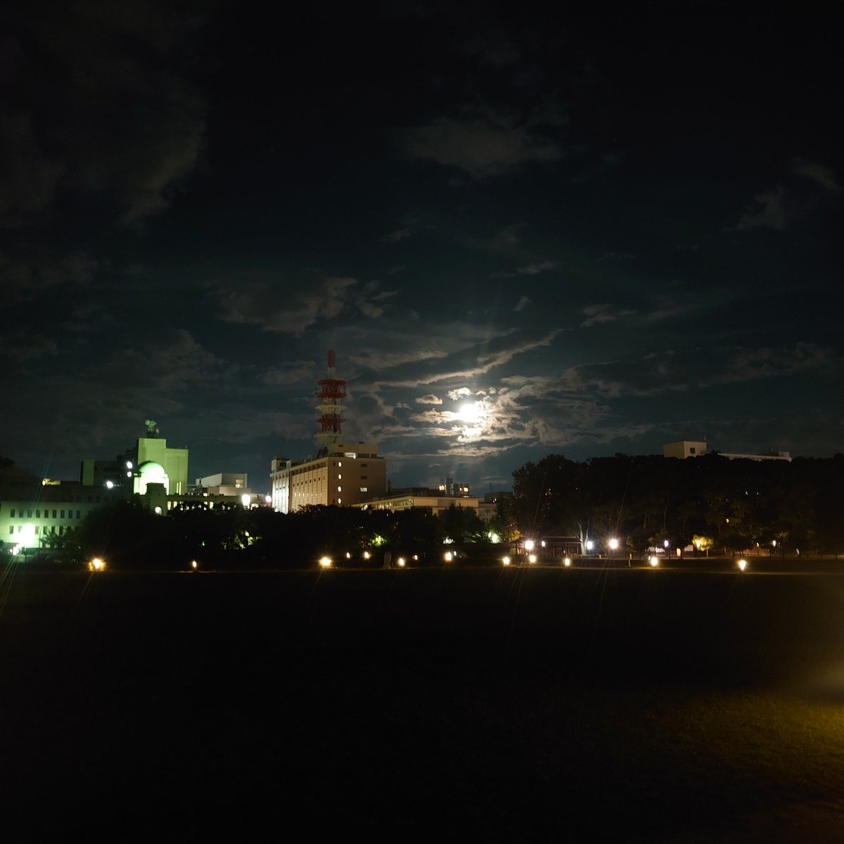 ラン友さんと走る水瓶座満月の夜

空の色が綺麗で気持ちよく走れました

さあ、新しい流れがやってくる✨✨✨