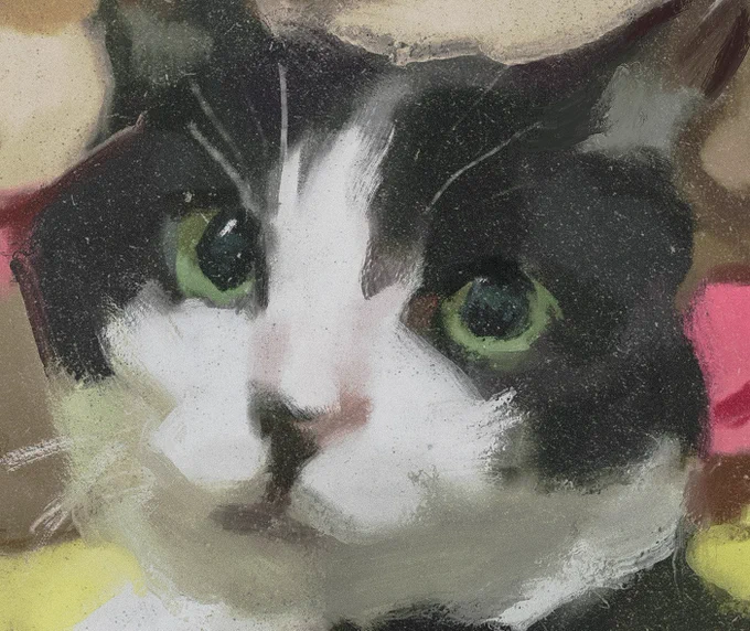 友人の猫