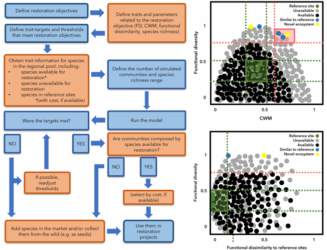 MarcosCarlucci's tweet photo. I would like to share our paper "A framework to apply trait-based ecological restoration at large scales" recently published in the Special Feature: UN Decade on Ecosystem Restoration of the Journal of Applied Ecology:

https://t.co/nXcjZtjwgc https://t.co/SKj7Adwkin