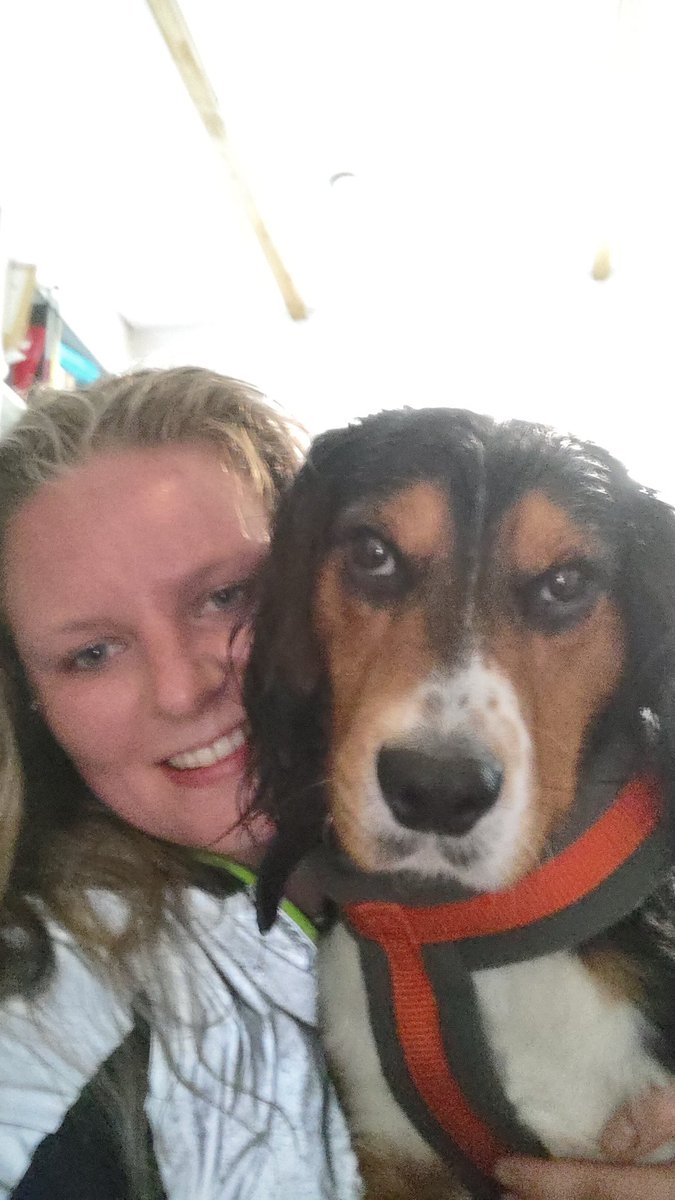 Anna Rowe tweet media