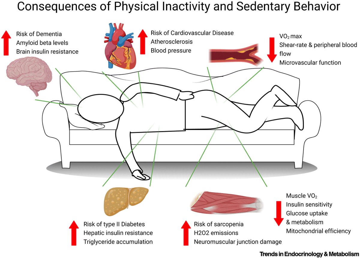 Physical inactivity and sedentary behavior are major contributors to endocrine and metabolic diseases.

pubmed.ncbi.nlm.nih.gov/36283907/

"Physical  inactivity is now recognized as the FOURTH leading cause of  death and has been demonstrated to be a contributor to 40 chronic diseases."