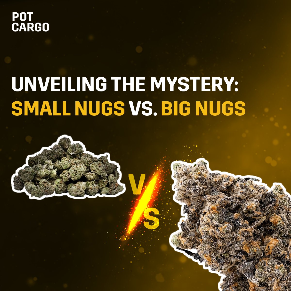 🍃 Engage in the ultimate showdown as we fight against the haze of bud myths. Arm yourself with knowledge and discover what truly matters in your experience.

pc.ch-r-000.com/the-battle-of-…

#CannabisCommunity #CannabisCulture #Hamilton #Vancouver #HumpDayMotivation