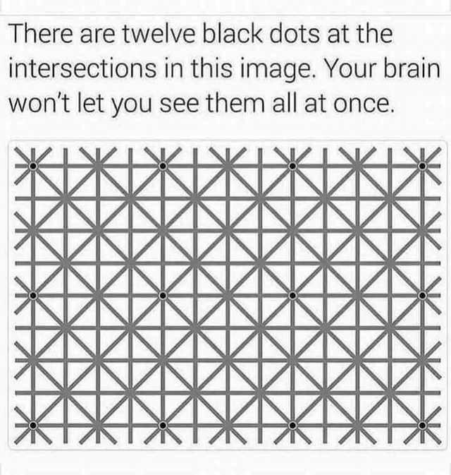 CUNNINGBRAD's tweet image. If you cannot trust your own senses then - 
Can you trust your own perceptions?
which means - 
You cannot trust every thought you think !!

#deepertruths #sensesfail #sensoryperception #perceptiontricks #donttrustyoureyes #thoughtsyouthink #braintricks #opticalillusions