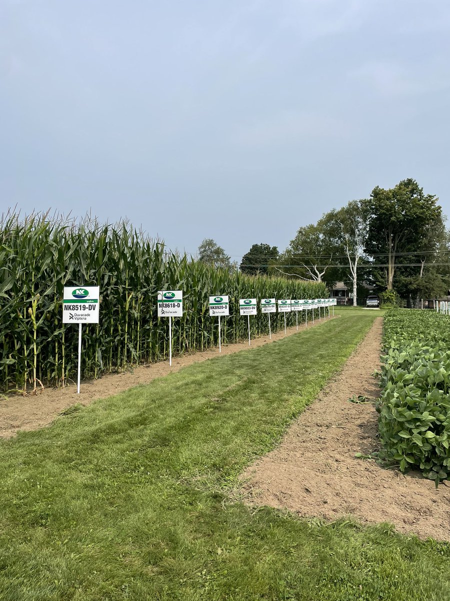 Abby Lindner tweet media