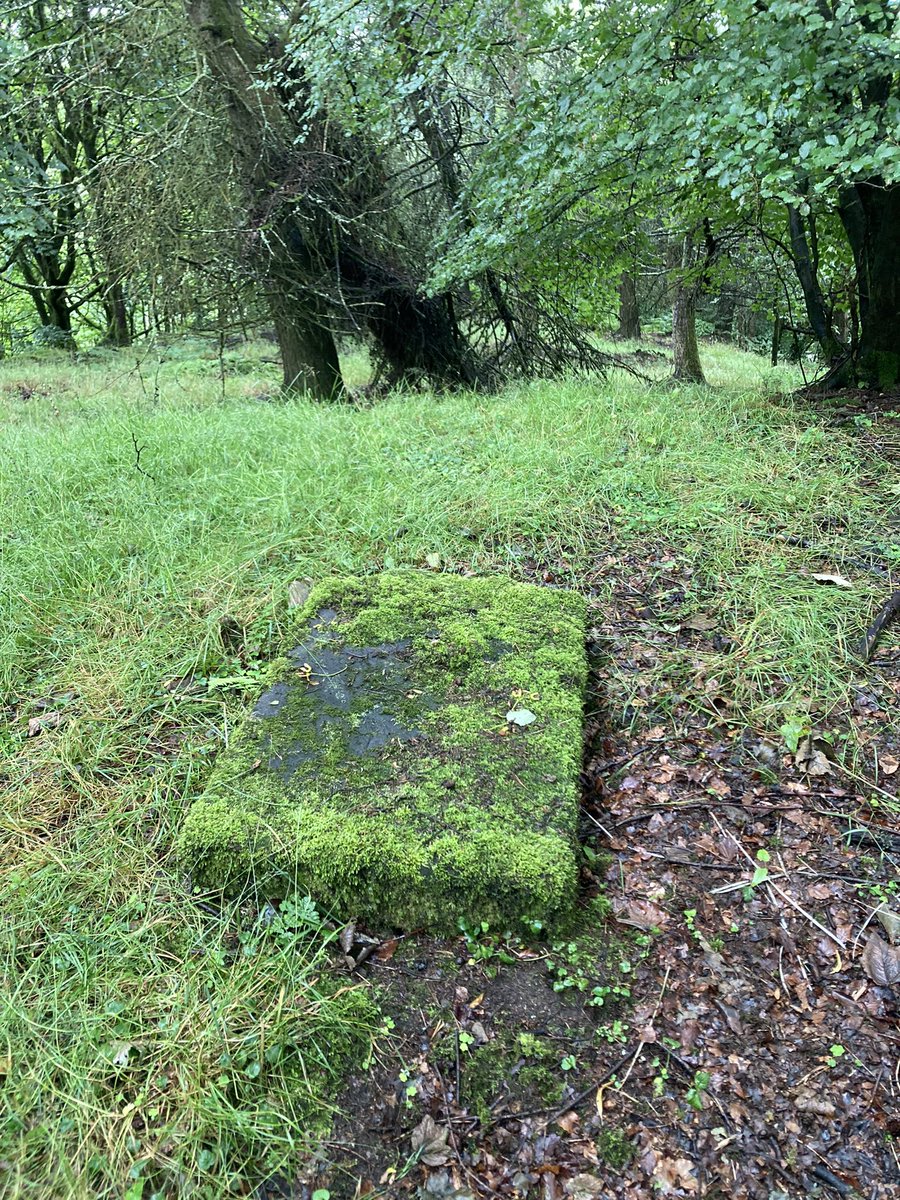 Visited what may well be Merlin’s grave (reburial) Monday with famous American writer who actually considered the evidence and made an informed decision for herself- this may well be Merlin’s grave.