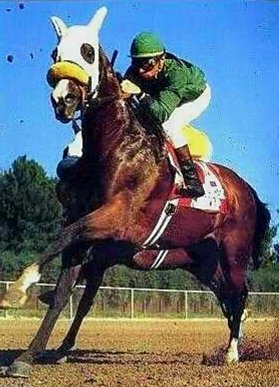 HORSERACING1002's tweet photo. GATE DANCER๐บ๐ธ1981
(SOVEREIGN DANCER - SUN GATE BY BULL LEA)#GateDancer
B/ William R. Davis (Fl) Mar 31, 1981.
O/ Opstein K
T/ Jack Van Berg
OBSOCT $40,000 RNA
28-7-8-7---$2,501,705
Super Derby G1, Preakness S G1, Omaha Gold Cup G3, Cornhusker H G2.
2nd Los Feliz S, https://t.co/ep8aI1kjX4