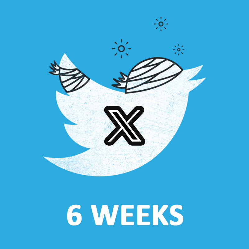 It's been 6 weeks since I can no longer log into my Twitter account.
And still 0 answer from Twitter <a href="/Support/">Support</a>.
I can still tweet using a 3rd party tool, but I can't comment, access my DMs, etc.
Amazing 2FA issue by <a href="/XDevelopers/">Developers</a>... 
x.com/catsuka/status…