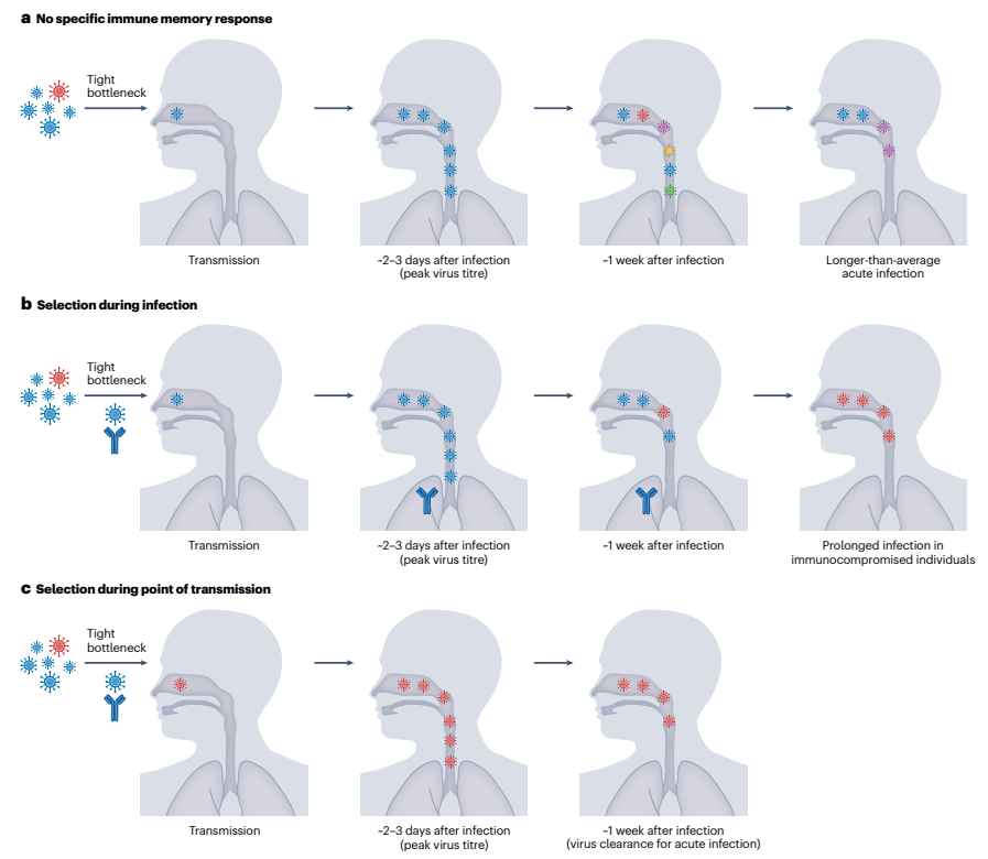 Nature Reviews Microbiology tweet media