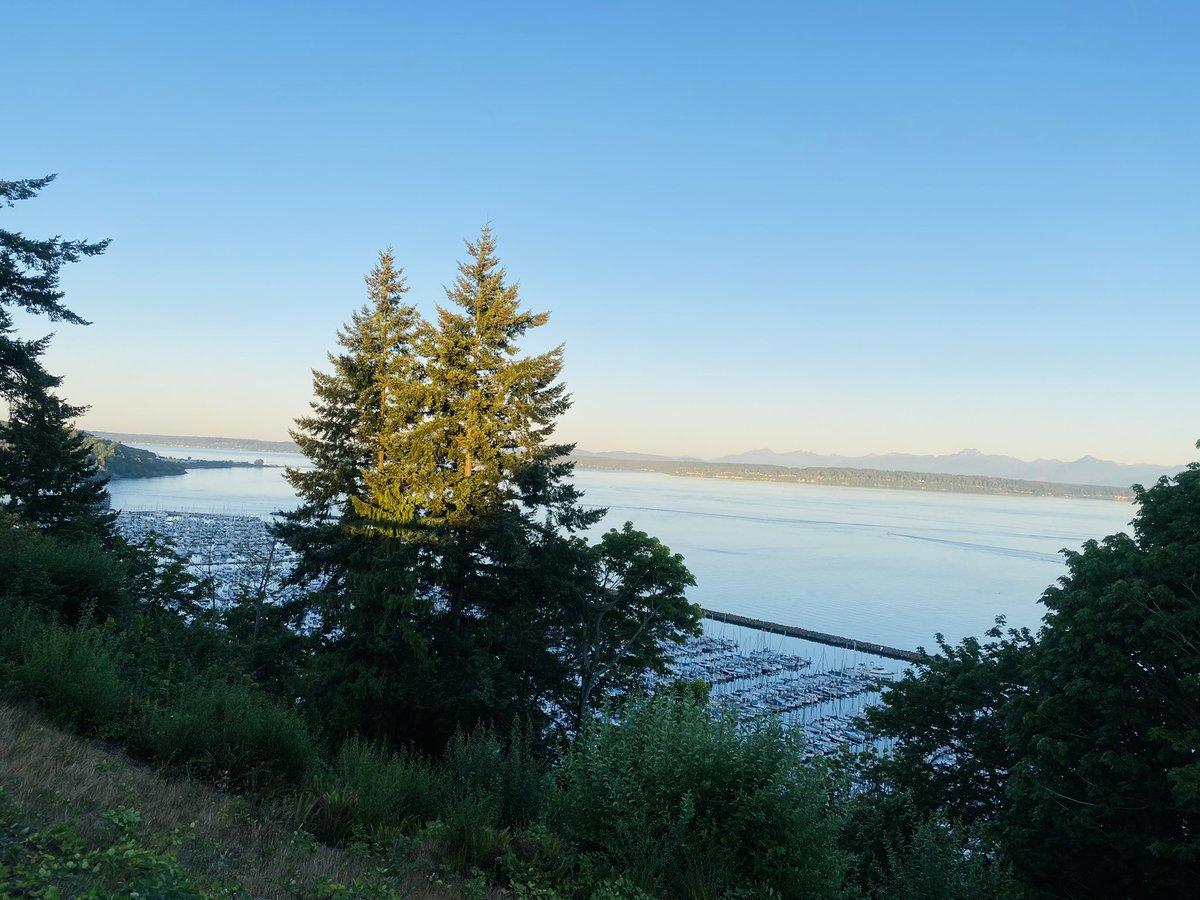 grounds_running's tweet image. 7 mile run to say good morning to the Puget Sound… Then back home for fresh coffee. I mean, come on! Spoiled!

#Seattle #MorningRuns #Coffee #running