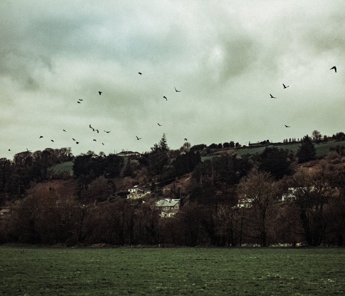 A Gothic Countryside