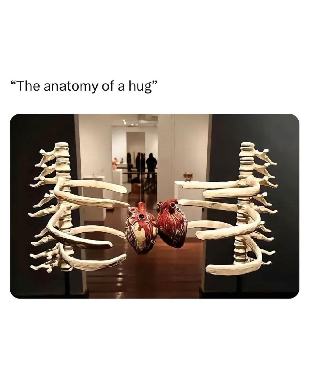 WholesomeMemes (@wholesomememe) on Twitter photo 