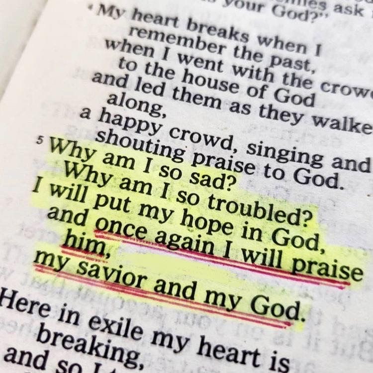 livechristian1's tweet photo. Here are a few Bible verses to help you get through today….

Matthew 7:7
Psalm 42:5
Psalm 91:11
Jeremiah 29:11 https://t.co/K8jcagil3y