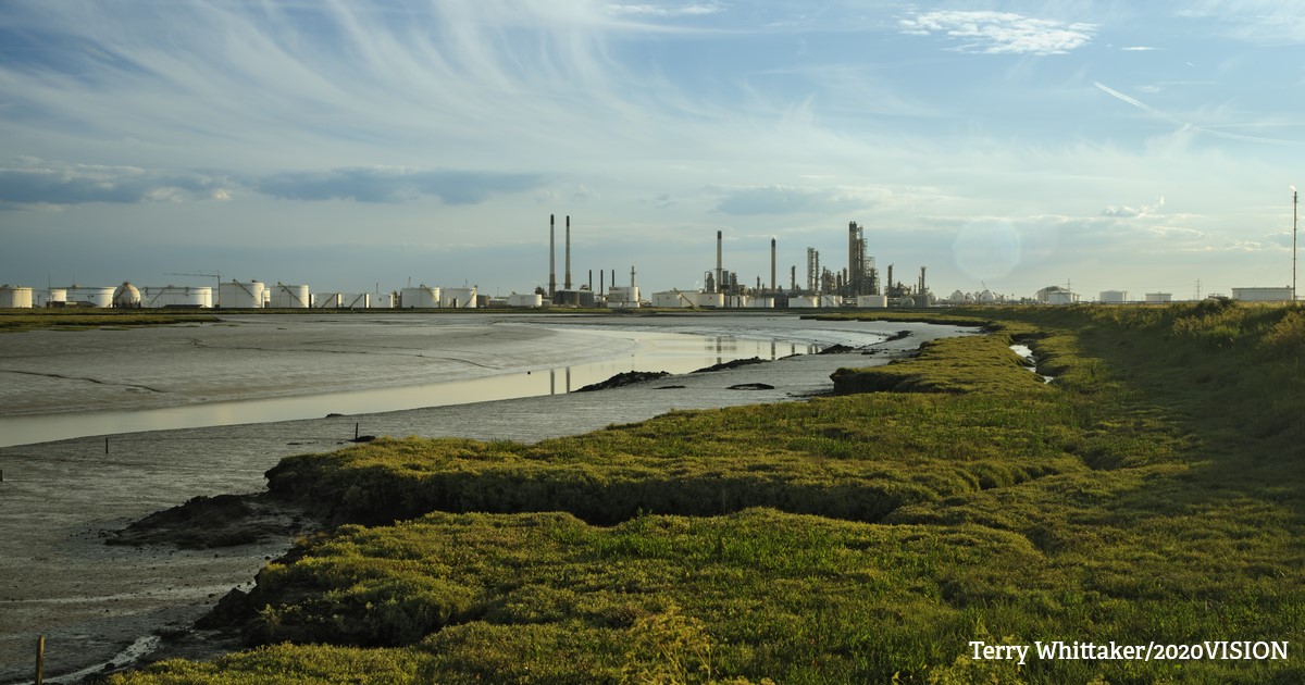 Recently the PM couched the decision to grant further oil and gas licenses as a necessary step to help the #CostOfLivingCrisis - but this is false - oil and gas exploration will not lower household energy bills. We explore in new blog 👉wildlifetrusts.org/blog/joan-edwa… #defendnature