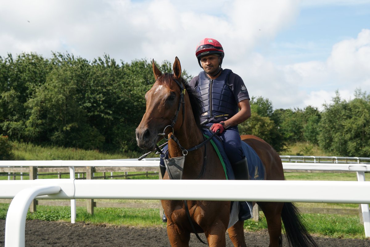 ownersgroupuk's tweet photo. It was great to see Asdaa last week ahead of his run tomorrow at Wolverhampton 🐴😍 #Asdaa #OwnersGroup https://t.co/cmRlAwfjdV