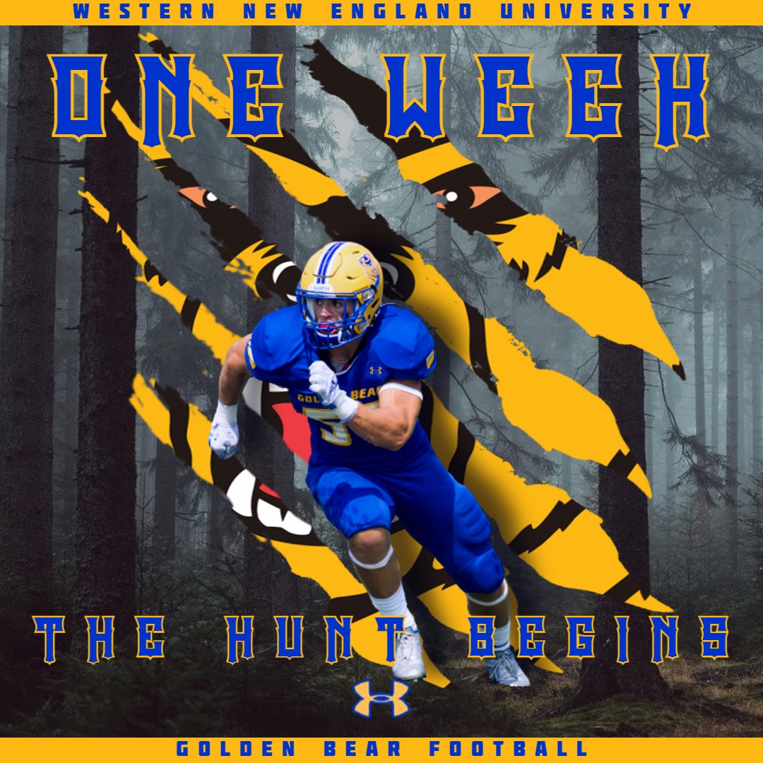 WNEFB tweet picture
