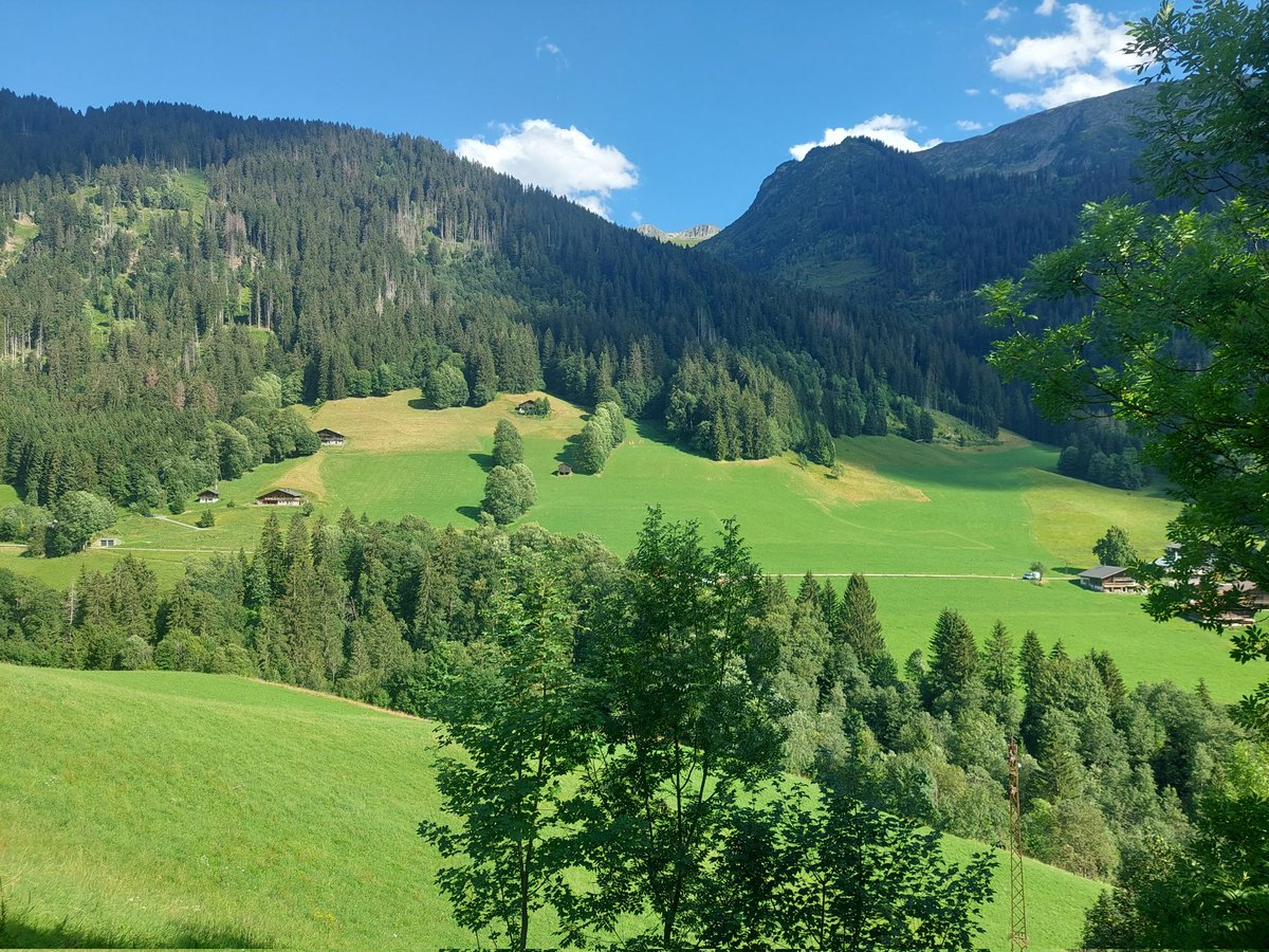 Deville Cavellin Patrick (@cavellinpatrick) on Twitter photo 