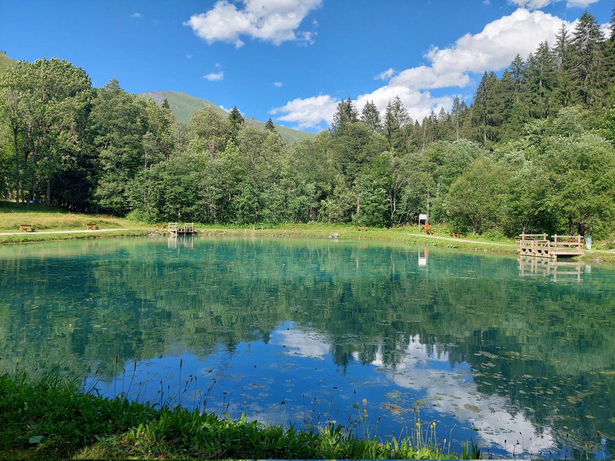 Deville Cavellin Patrick (@cavellinpatrick) on Twitter photo 