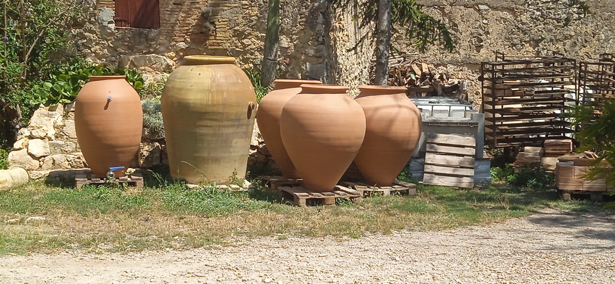 David Pujadó i Cercó tweet media