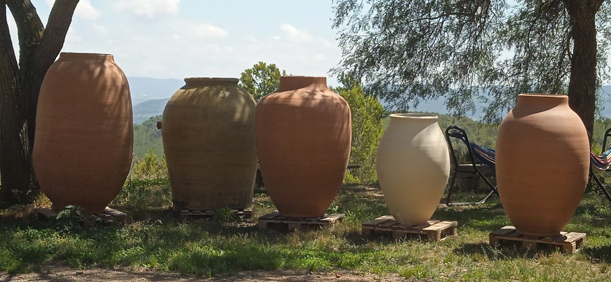 David Pujadó i Cercó tweet media