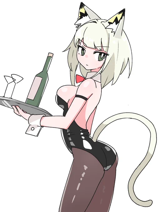 ケルシー 