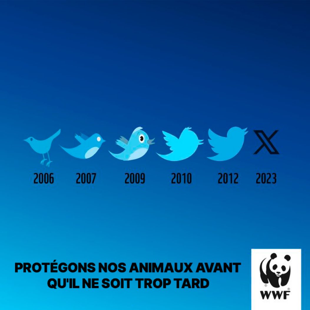 Martin Fuma tweet media