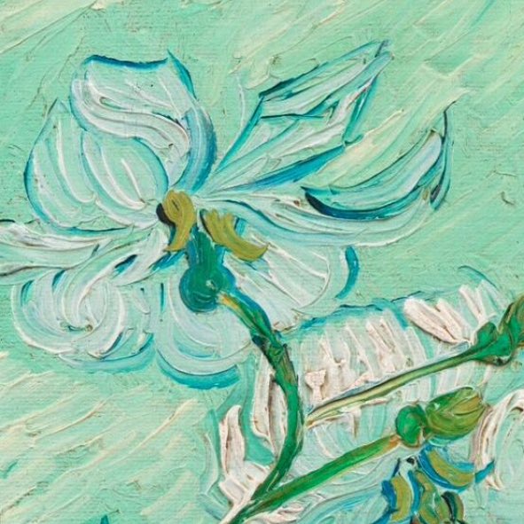 art tweet media