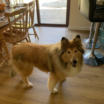 #NewProfilePic