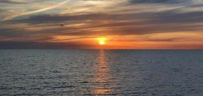 Havenlust's tweet photo. A, B, C or D? https://t.co/LfBQZHs942