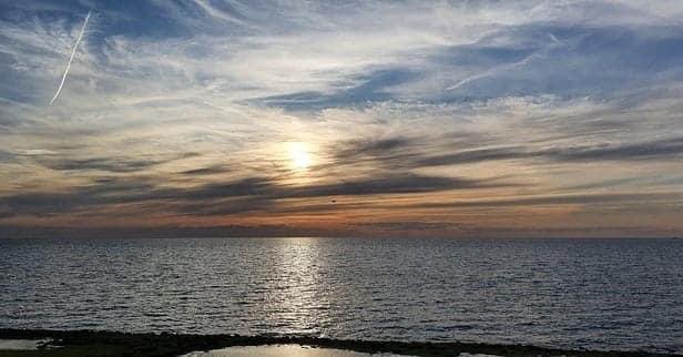 Havenlust's tweet photo. A, B, C or D? https://t.co/LfBQZHs942