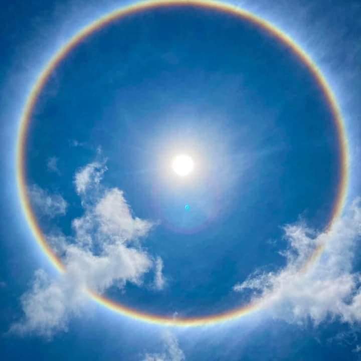 Tecee Boley tweet media