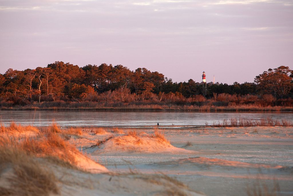 Say YES to new adventures. Reconnect with nature at these coastal camping sites around the state. 🌅 #VAoutdoors 📍: False Cape State Park 📍: Kiptopeke State Park 📍: First Landing State Park 📍: Chincoteague National Wildlife Refuge
