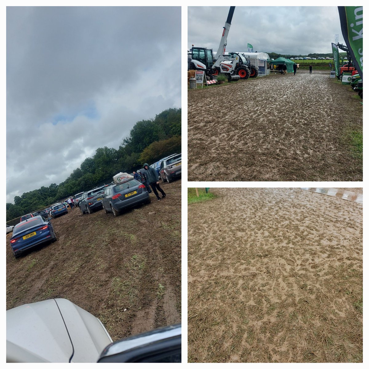 Moo4organic's tweet photo. #Northdevonshow Some different to last year's hot,dry and queueing to get in @ProagriLtd https://t.co/BAdaawpeH3