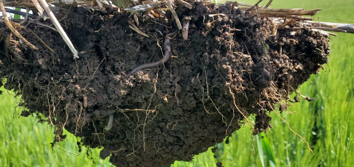 Replenish Nutrients tweet media