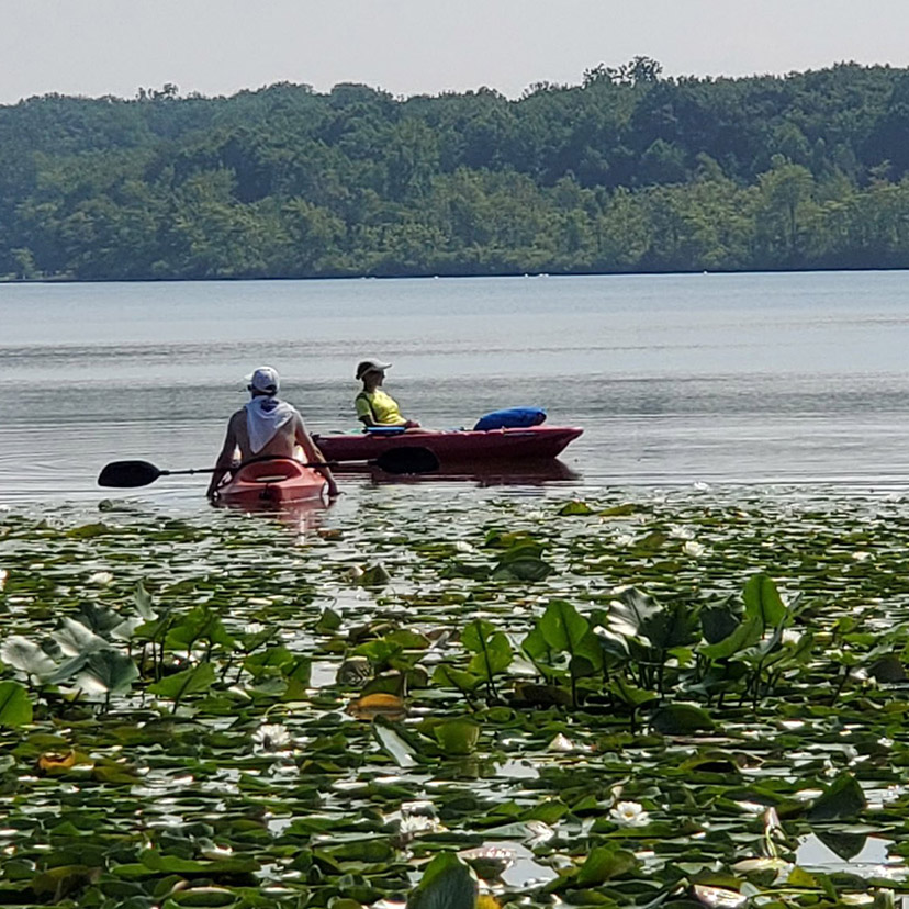 NALMStweets's tweet image. We are excited to share the #LakesAppreciation social media challenge winners! Thanks to all who took part! tinyurl.com/ytbdr2ts
💧 @b_d_scofield, beating the heat on the lake ☀️
💧 Jennifer Udema, hiking with pals in Colorado 🥾
💧 @katelyn8king, paddling on Van Auken Lake 🛶