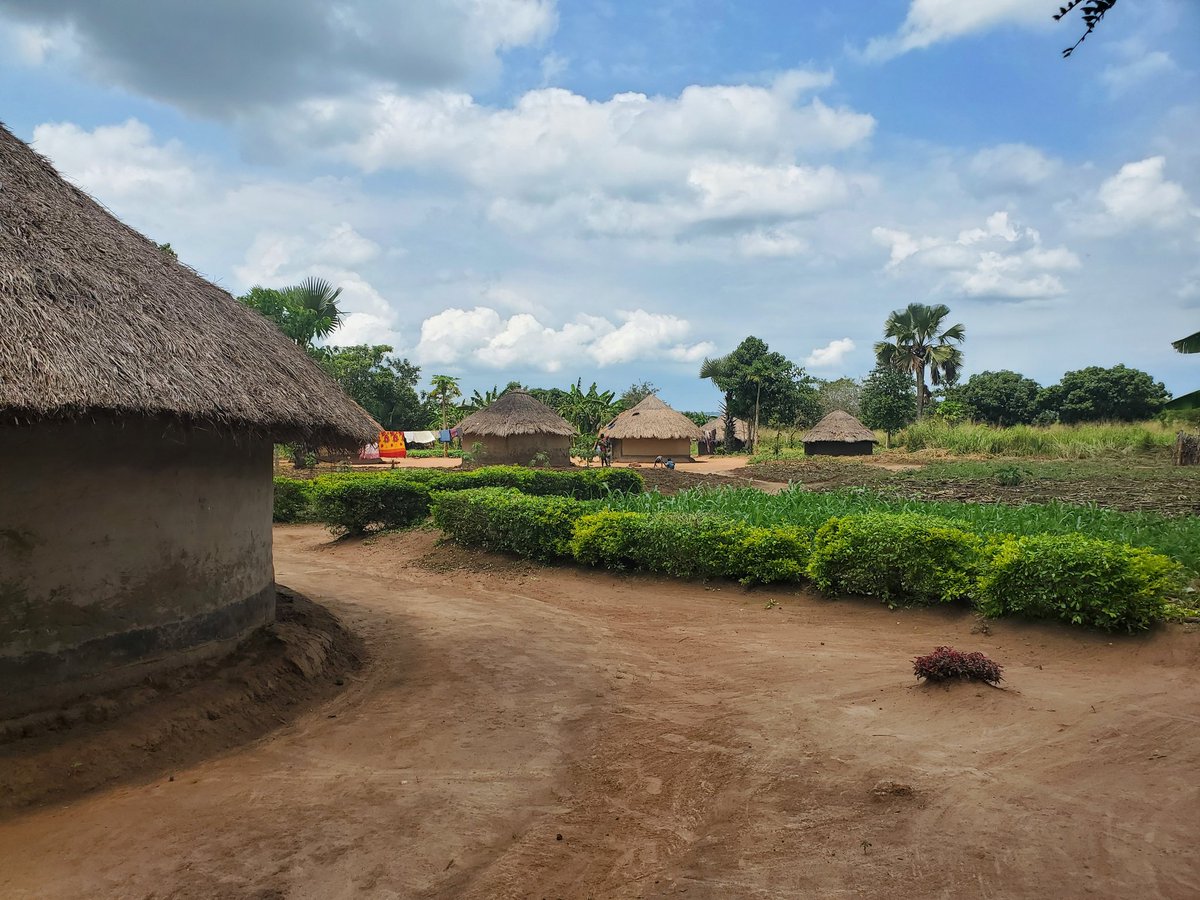 Kirsten J. Fisher tweet media