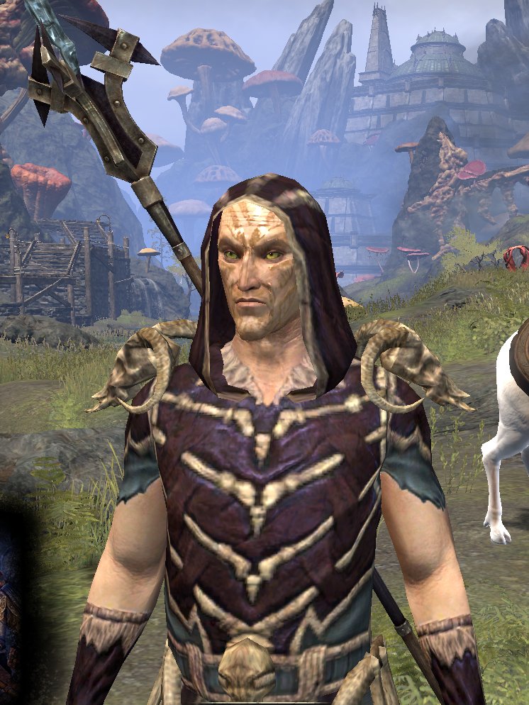 AceitunaAtomica's tweet image. Calvinapi ya ha empezado a dar sus primeros pasos por #Tamriel la verdad es que tenia muchísimas ganas de hacerme un Nigromante y disfrutar a tope de esta sensacional clase en #TESO #ESOFam @TESOnline_ESP