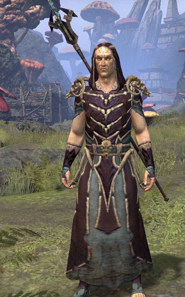 AceitunaAtomica's tweet image. Calvinapi ya ha empezado a dar sus primeros pasos por #Tamriel la verdad es que tenia muchísimas ganas de hacerme un Nigromante y disfrutar a tope de esta sensacional clase en #TESO #ESOFam @TESOnline_ESP