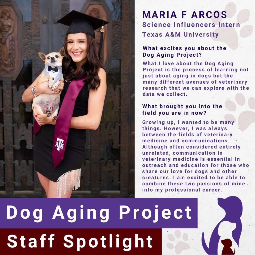 DogAgingProject's tweet photo. Meet Maria F Arcos, our summer #ScienceInfluencers Intern! Her scientific curiosity and creativity led her to #DogAgingProject, and we're grateful for all the fantastic work she contributes to our #longevity study.
🐾We're #proudofourteam! Learn more at https://t.co/iCdxo9kkr1 https://t.co/o0RWpIArQh