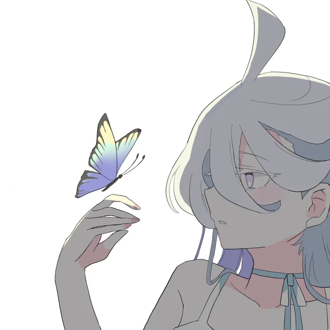 蝶