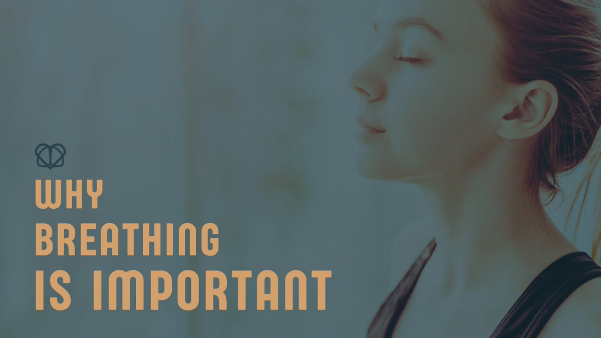 Breathing optimally means we’re maximising how our bodies perform in all these areas, as well as giving our breathing system the best chance to be able to respond to certain situations. Read our latest blog to find out more! bit.ly/3YiwS9T