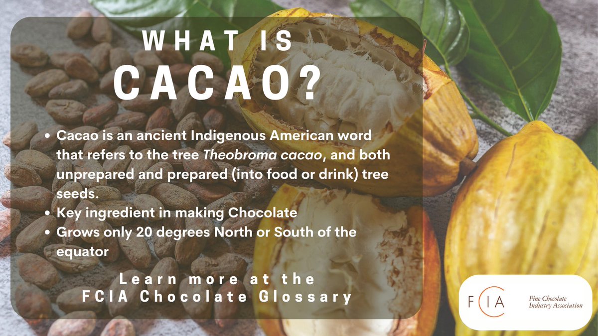 Hey chocolate lovers! 🍫 Are you curious about what makes our favorite treat so heavenly? Let's dive into the heart of chocolate-making and explore the definition of Cacao, straight from the FCIA's Chocolate Glossary! 📚 chocolateglossary.com/chocolate-defi…