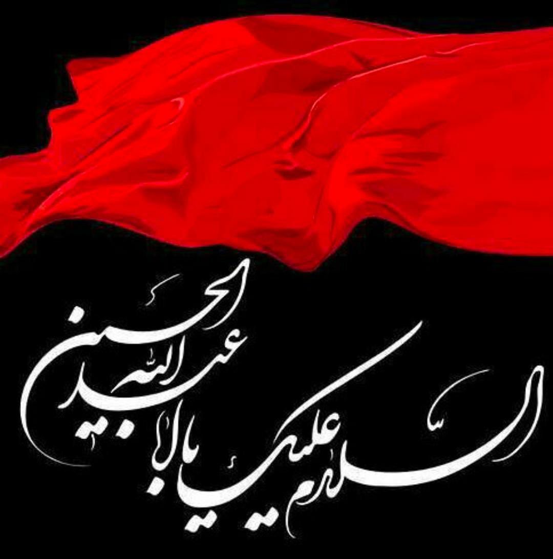 Syeda ایلیا NaQvi tweet media